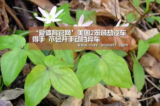 ‘爱体育官网’美国2笨贼劫汽车得手 不会开手动档弃车(图3) 爱体育娱乐