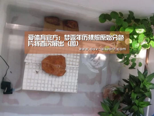 爱体育官方:梦露年历裸照原始分色片将首次展出(图)(图2) 爱体育娱乐